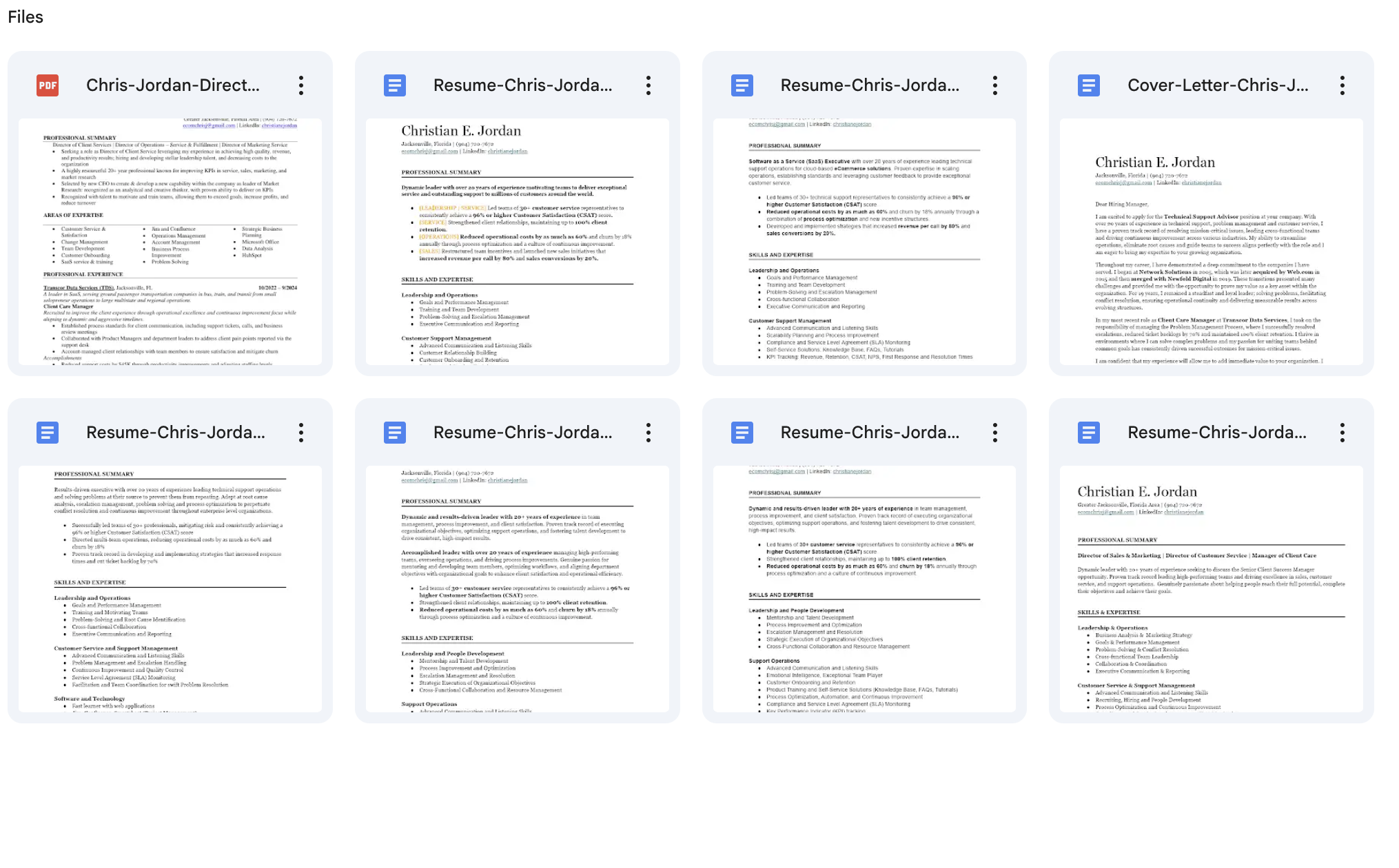 Versioned Resume Library
